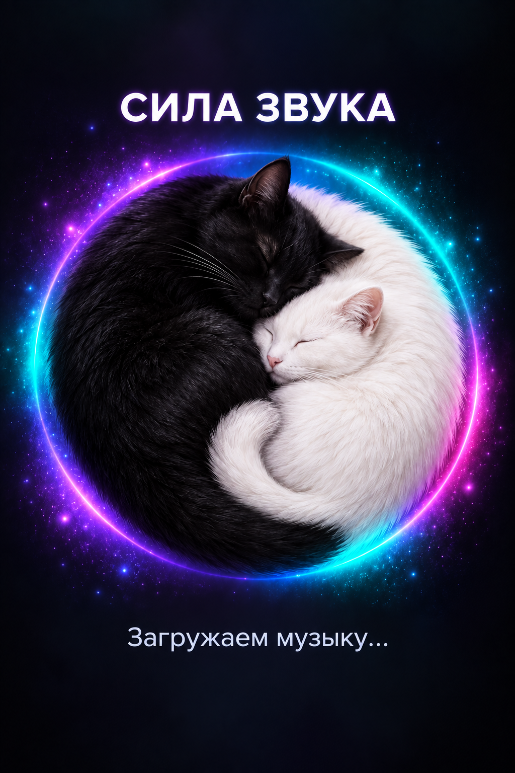 Чёрный и белый коты, свернувшиеся в форме инь-янь